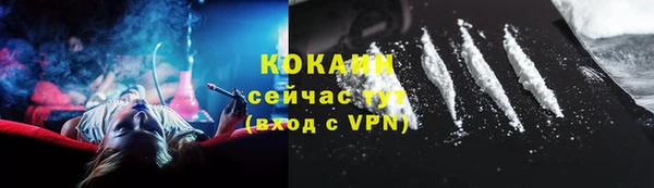 индика Баксан