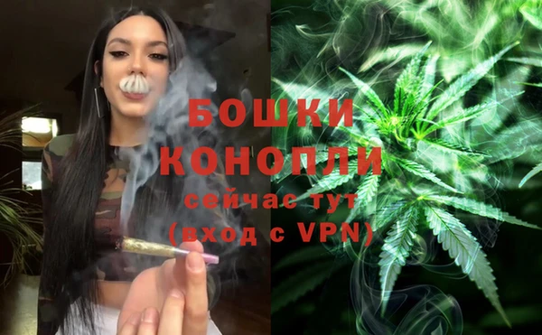 индика Баксан
