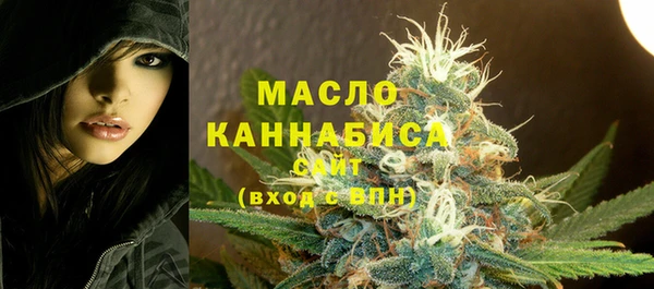хмурый Няндома