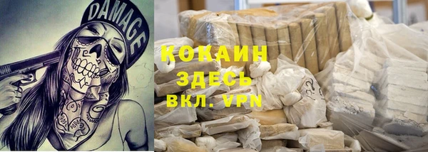 индика Баксан