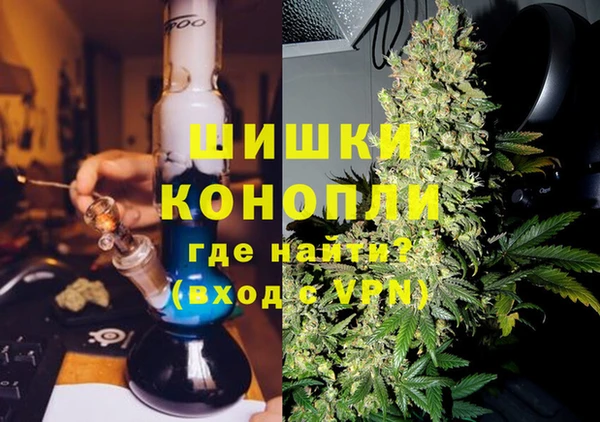 индика Баксан