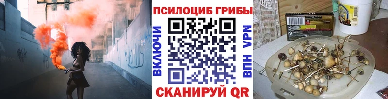 Галлюциногенные грибы Psilocybine cubensis  купить наркотики сайты  Орёл 